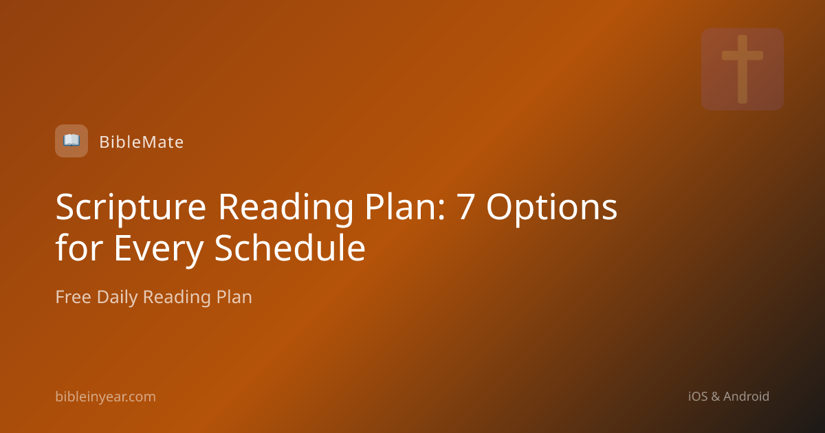 Scripture Reading Plan: 7 Options for Every Schedule